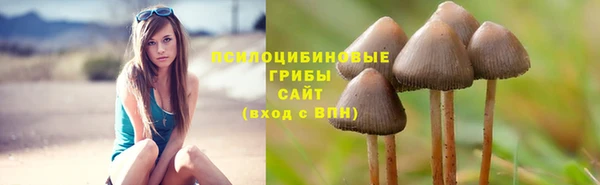 мдма Бородино