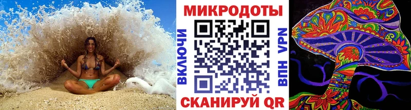 где можно купить   Бородино  Галлюциногенные грибы Psilocybe 