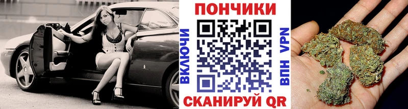 Канабис марихуана  магазин  наркотиков  Бородино 